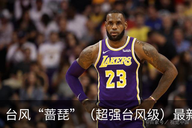 台风“蔷琵”（超强台风级）最新路径公布，最大风力达17级，将给浙沪闽台带来强风雨，或在福建二次登陆